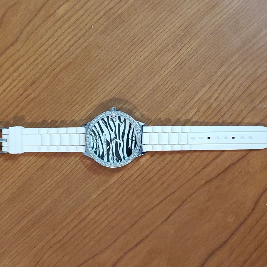 Geneva Watch